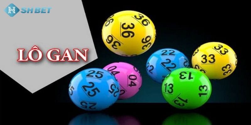 Banner www.hangmy2u.vn