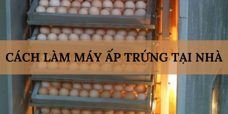 Banner www.hangmy2u.vn