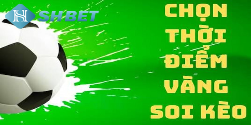 Banner www.hangmy2u.vn