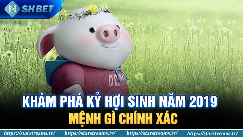 Banner www.hangmy2u.vn