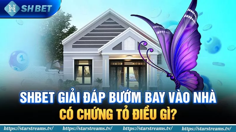Banner www.hangmy2u.vn