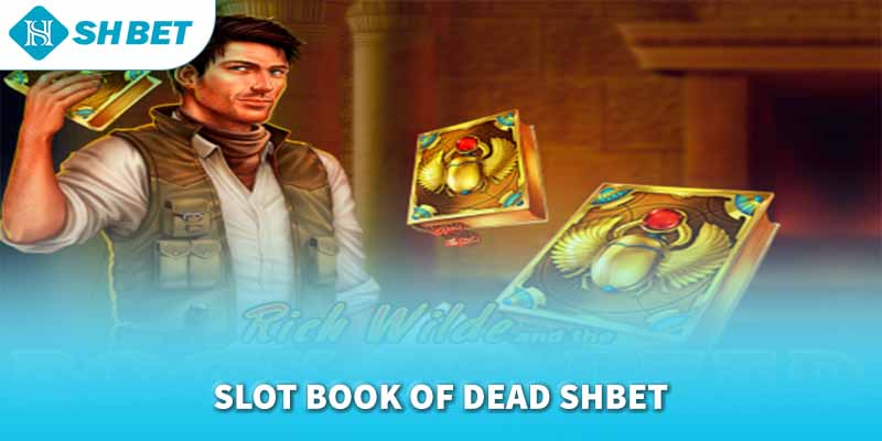 Banner www.hangmy2u.vn