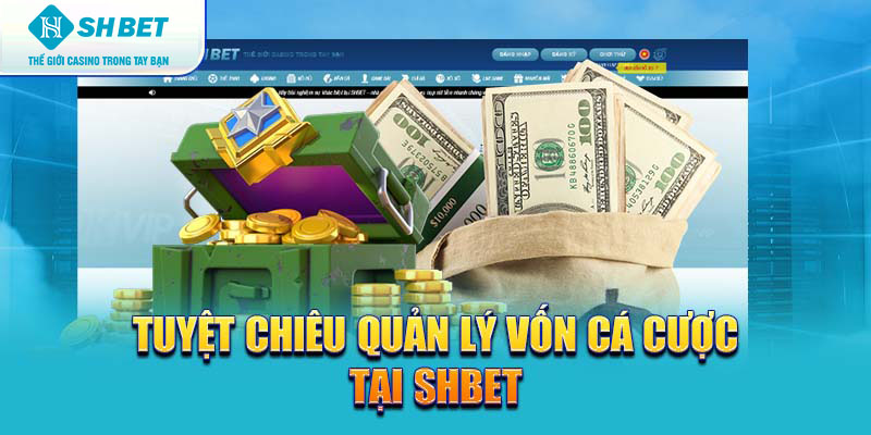 Banner www.hangmy2u.vn