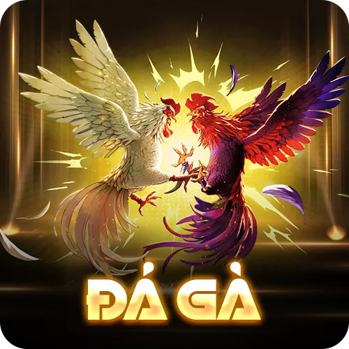 Banner www.hangmy2u.vn