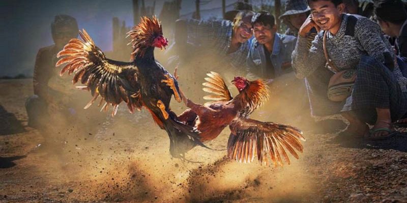 Banner www.hangmy2u.vn