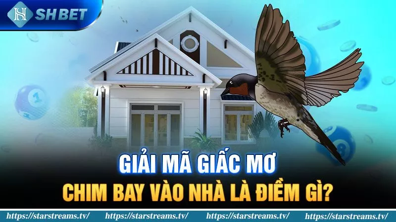 Banner www.hangmy2u.vn