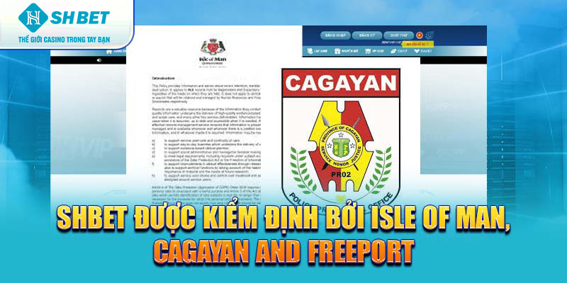 Banner www.hangmy2u.vn